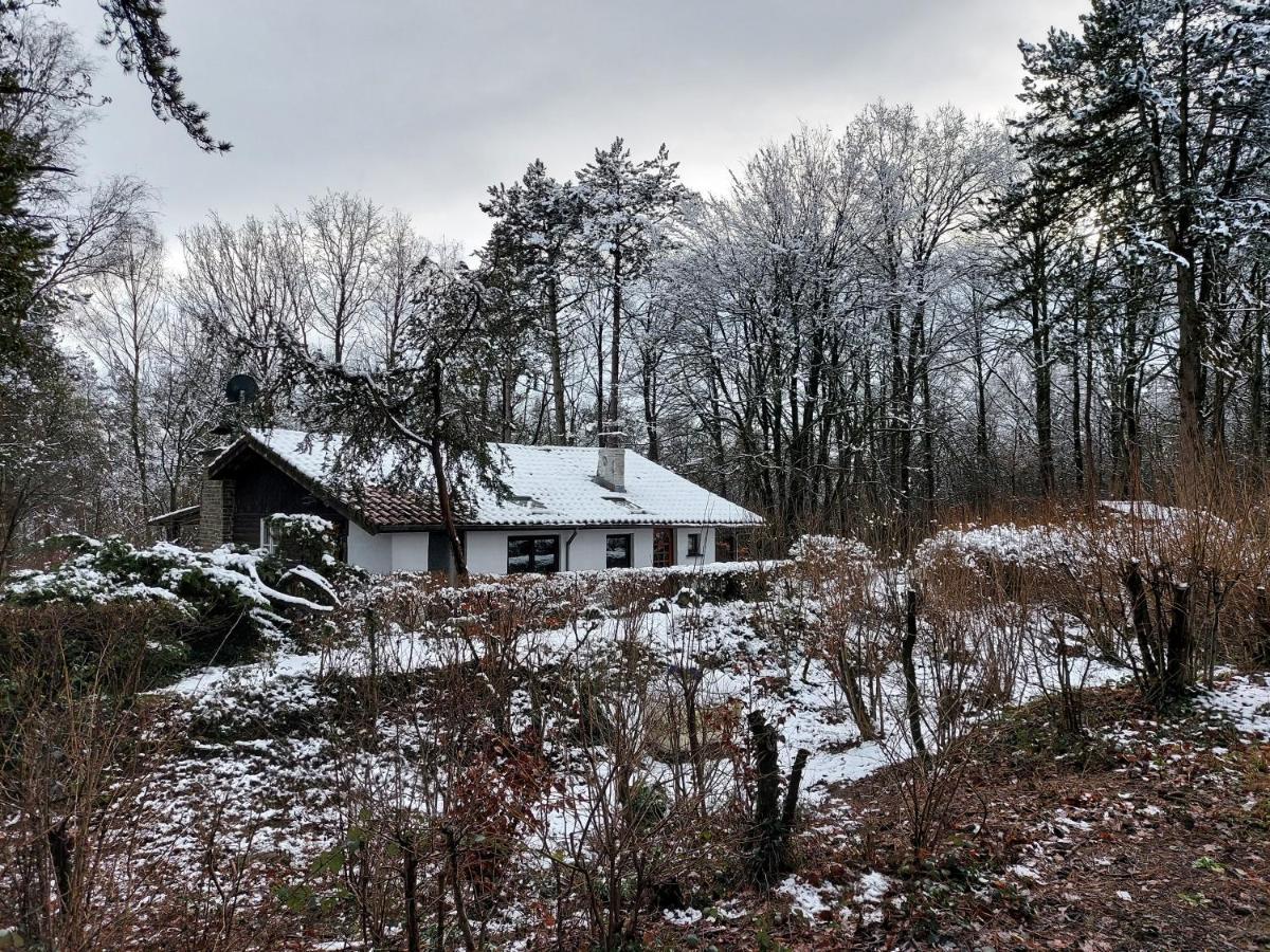 Chalet Des Pins D'Autriche Comblain-Fairon Esterno foto