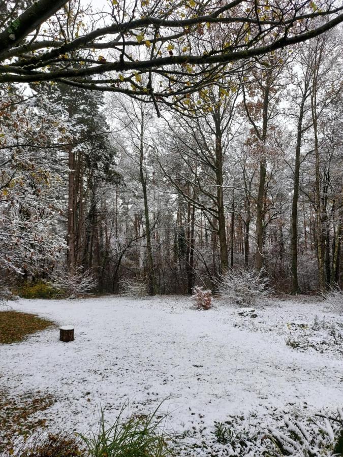 Chalet Des Pins D'Autriche Comblain-Fairon Esterno foto