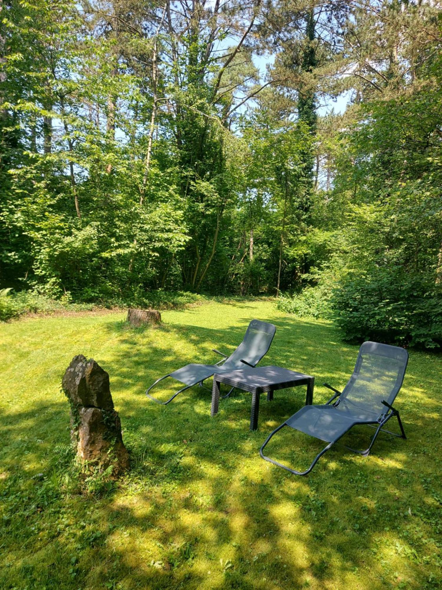 Chalet Des Pins D'Autriche Comblain-Fairon Esterno foto
