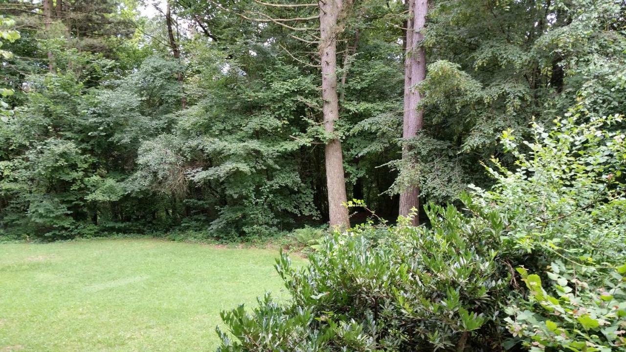 Chalet Des Pins D'Autriche Comblain-Fairon Esterno foto