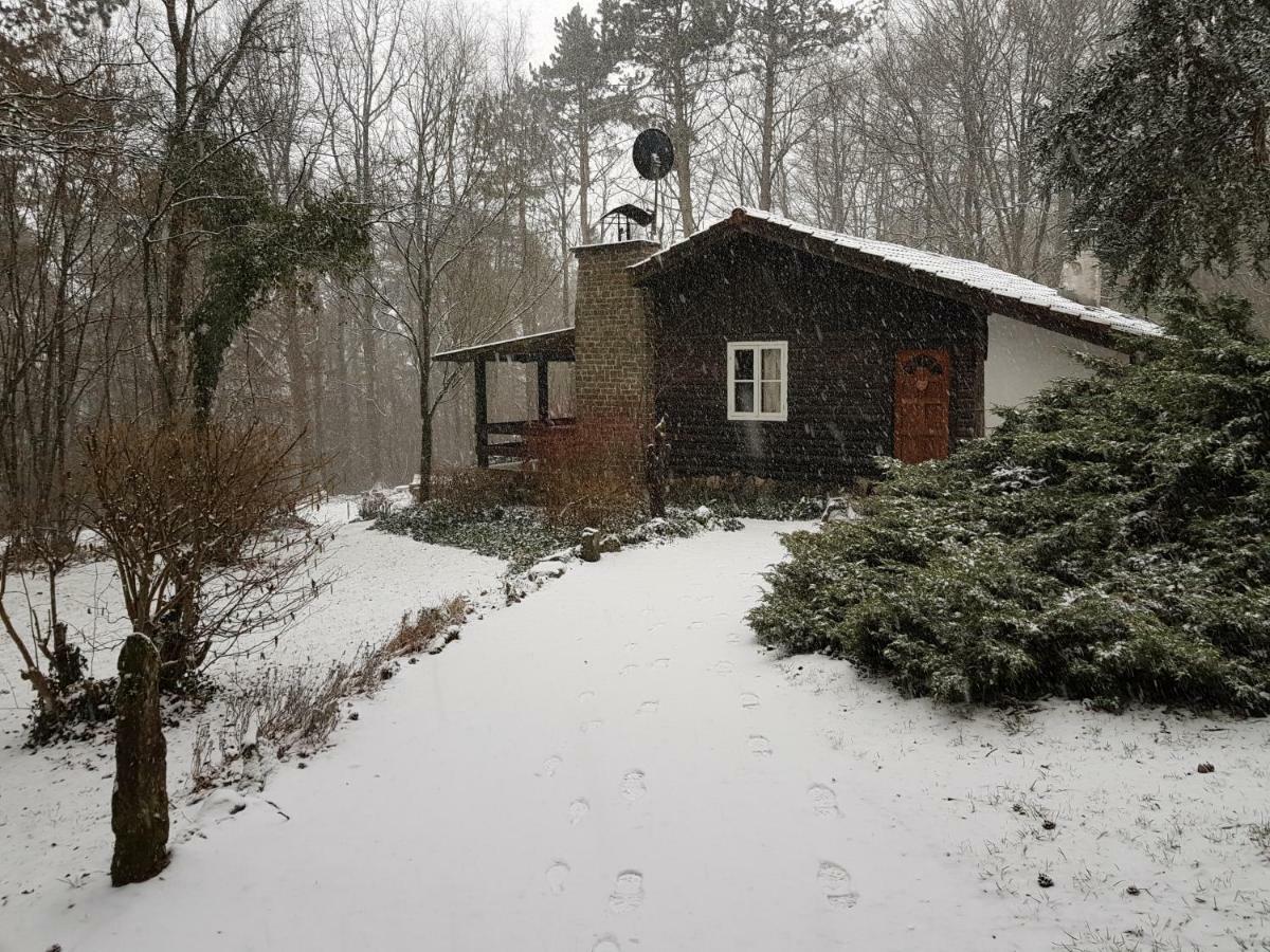 Chalet Des Pins D'Autriche Comblain-Fairon Esterno foto