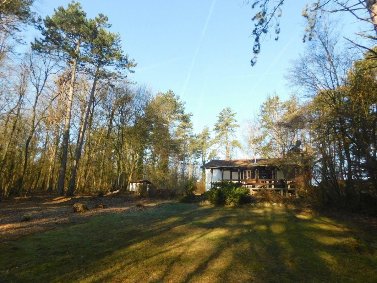 Chalet Des Pins D'Autriche Comblain-Fairon Esterno foto